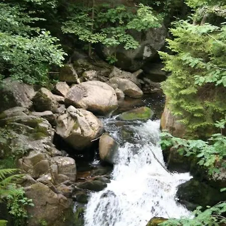 Appart' Au Coeur Des Vosges, Au Centre De Gérardmer